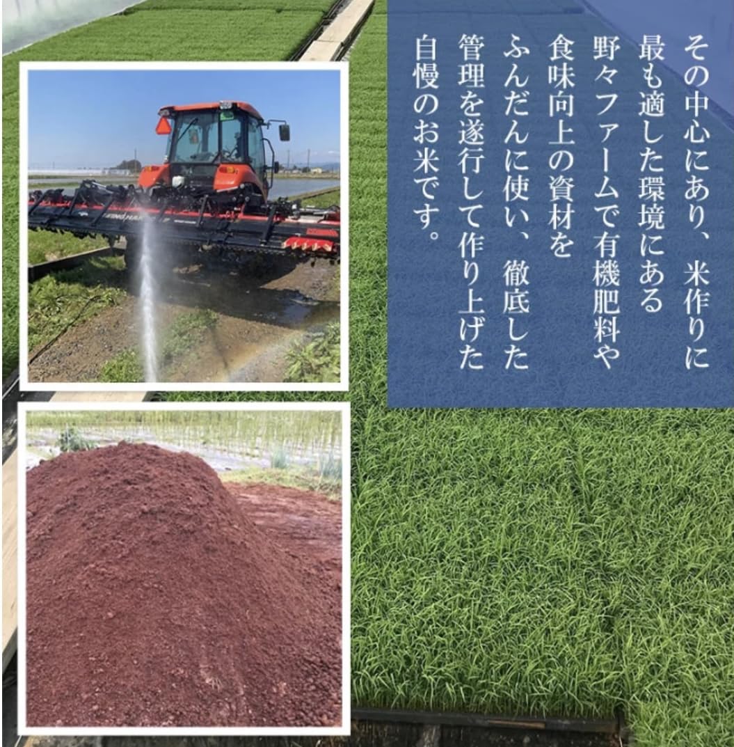 Amazon.co.jp: ササニシキ (玄米10kg) 令和7年 山形県庄内産 特別栽培